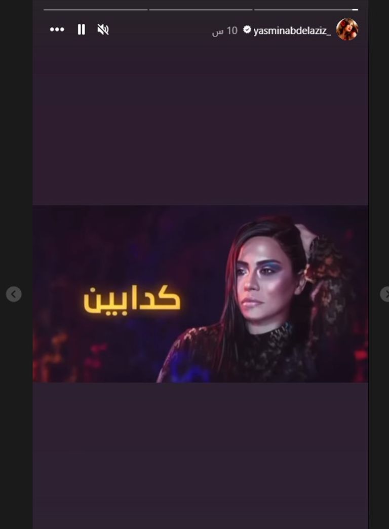 الفنانة المصرية ياسمين عبدالعزيز