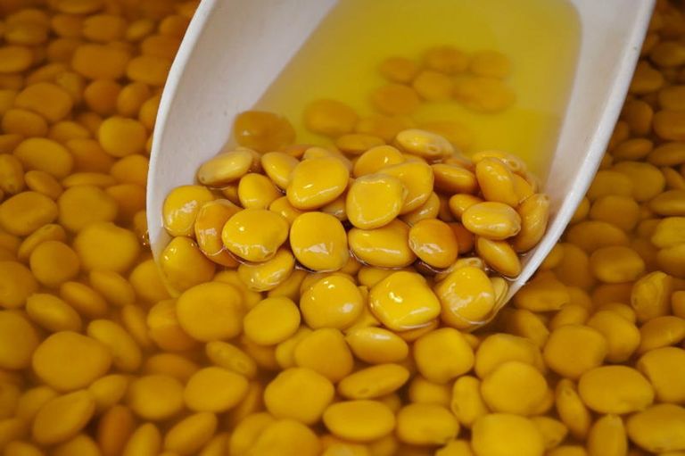 الترمس من تسالي عيد الفطر