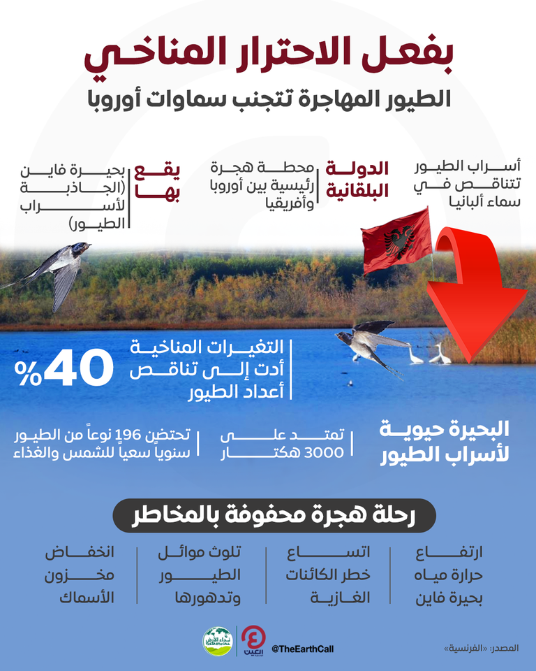 الاحترار المناخي يهدد الطيور المهاجرة بسماء ألبانيا