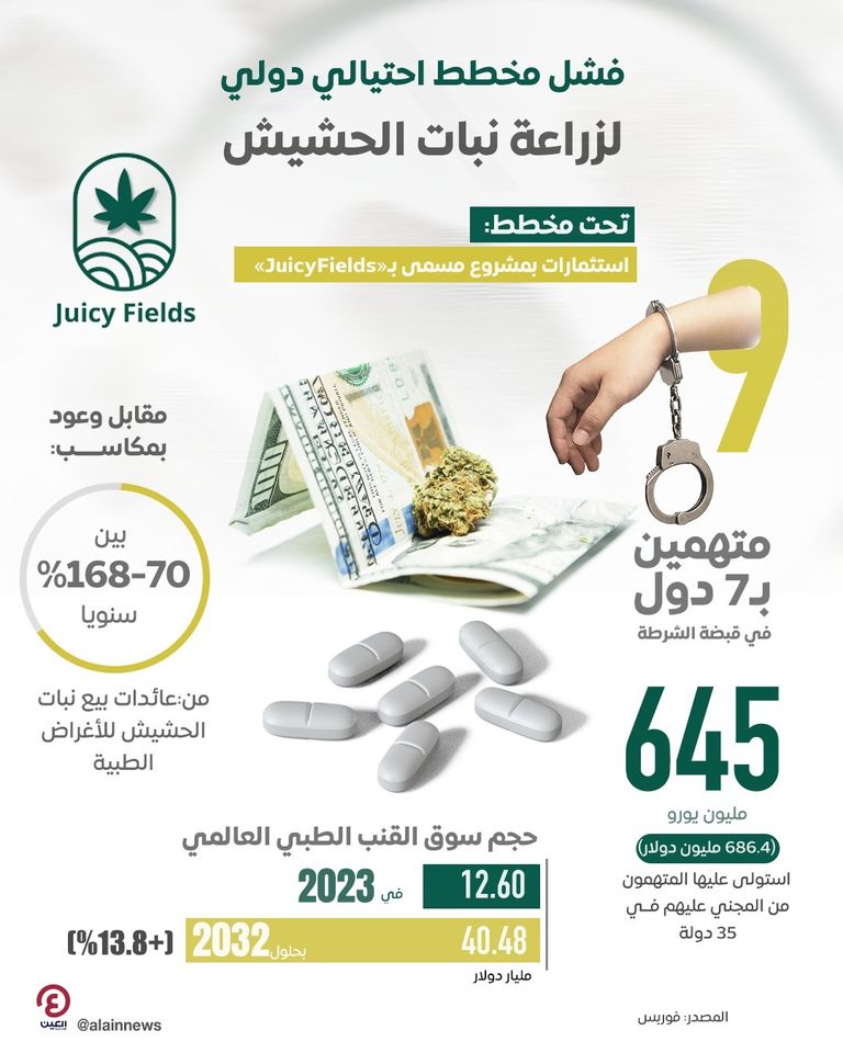 قصة سقوط مخطط الحشيش «الاحتيالي»