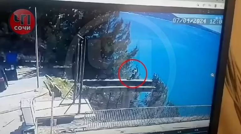 إنيسا بولينكو