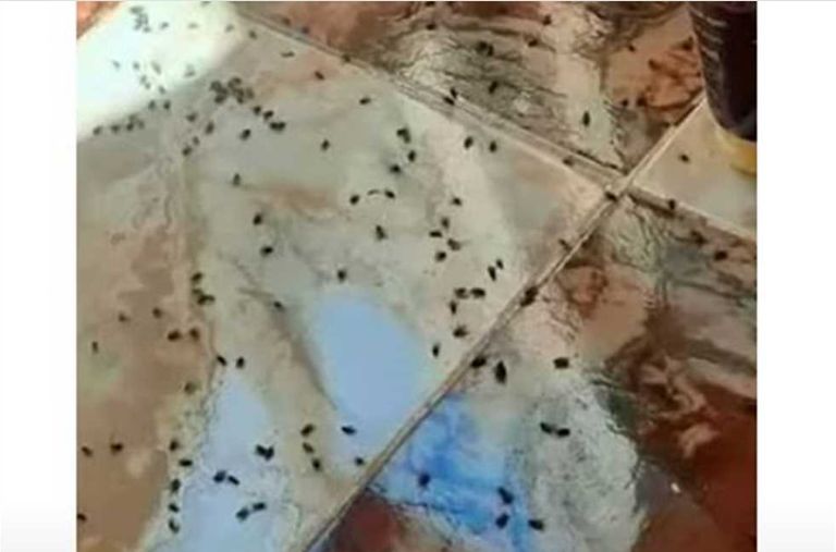 رياح الخماسين تضرب مصر