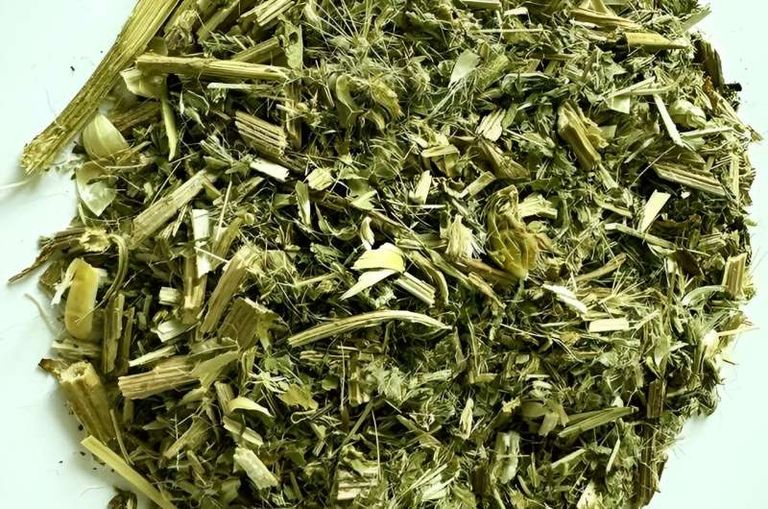 نبات الشوك المبارك