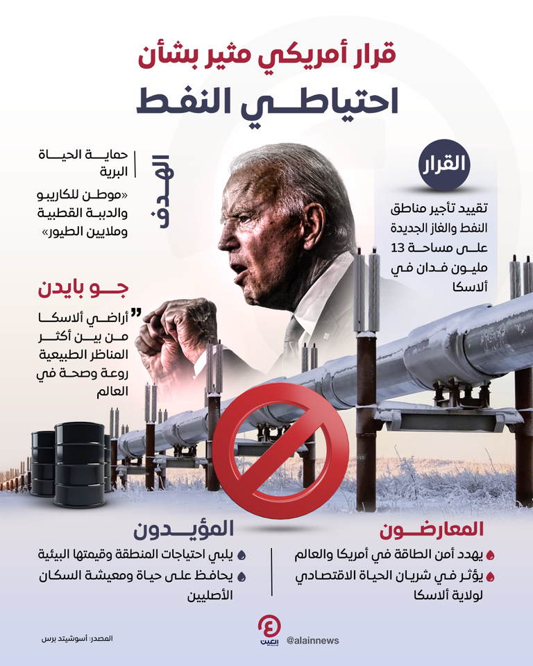 الدب القطبي في ألاسكا - رويترز