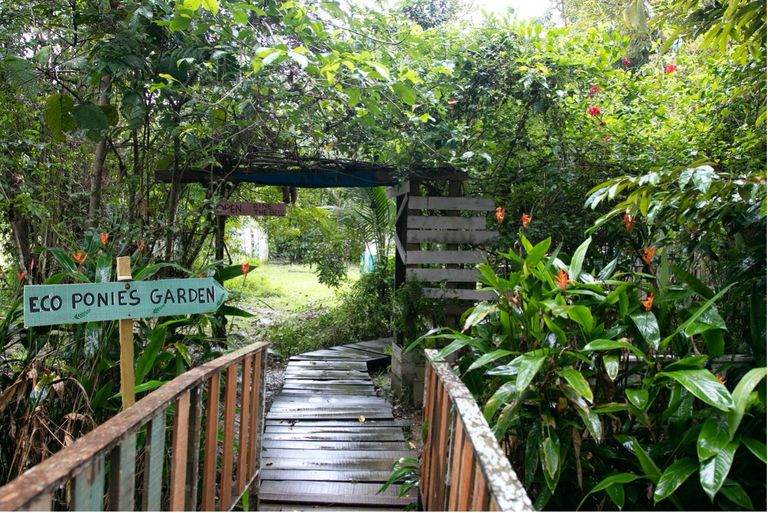 حديقة  Eco Ponies Garden أحد أفضل أماكن السياحة في بروناي السياحة في بروناي الآسيوية