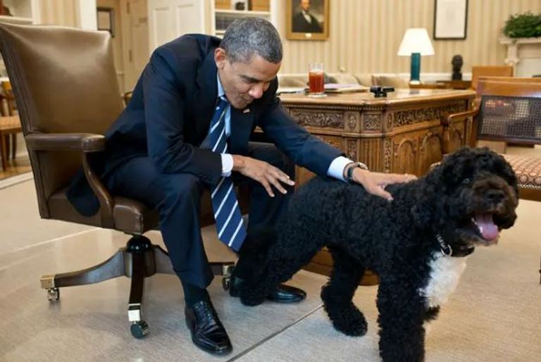 بايدن مع كلبيه داخل المكتب البيضاوي