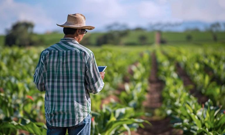 دمج تقنيات الذكاء الاصطناعي في الزراعة - تعبيرية