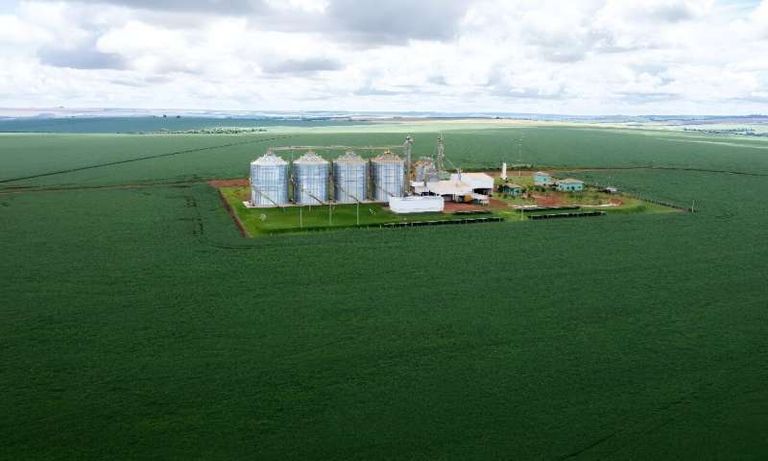 دمج تقنيات الذكاء الاصطناعي في الزراعة - تعبيرية