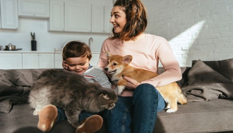 نصائح قبل اقتناء حيوانك الأليف وكيف تختاره؟ نصائح قبل اقتناء حيوانك الأليف