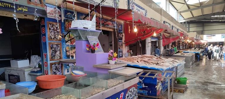 دعوات لمقاطعة الأسماك في مصر