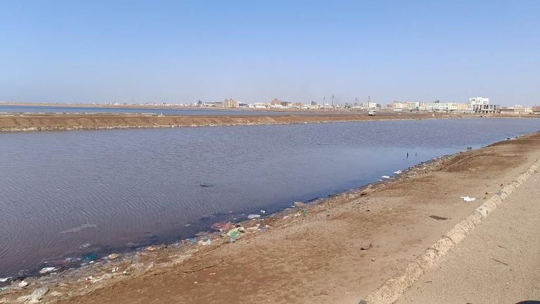 تجميل مدينة عدن اليمنية