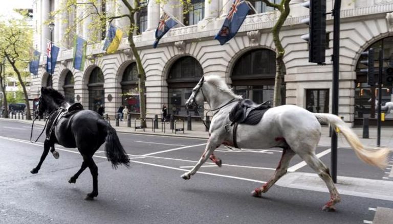  اثنان من الخيول الهاربة في لندن