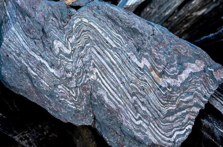 أحد أعضاء الفريق البحثي