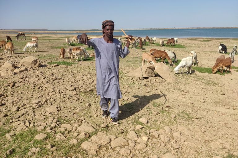 سوداني ينقل شوالا من محصول على ظهره - AFP