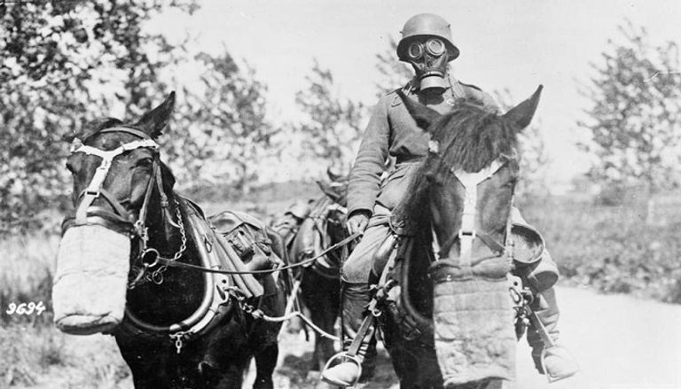 كلب استخدمه الألمان لمد أسلاك الهاتف