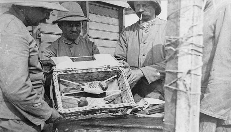 كلب استخدمه الألمان لمد أسلاك الهاتف