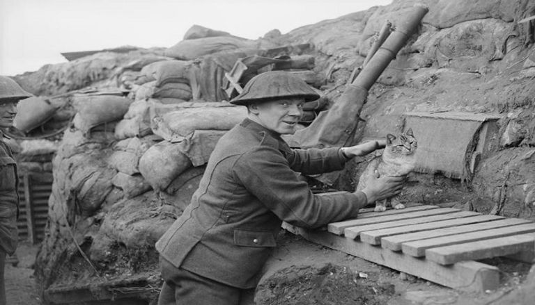 كلب استخدمه الألمان لمد أسلاك الهاتف