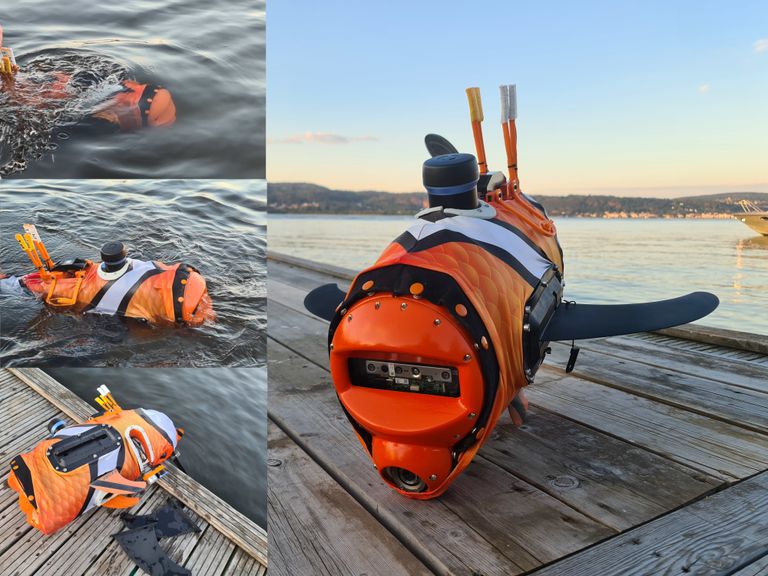 السمكة الروبوت من شركة Aquaai السمكة الروبوت