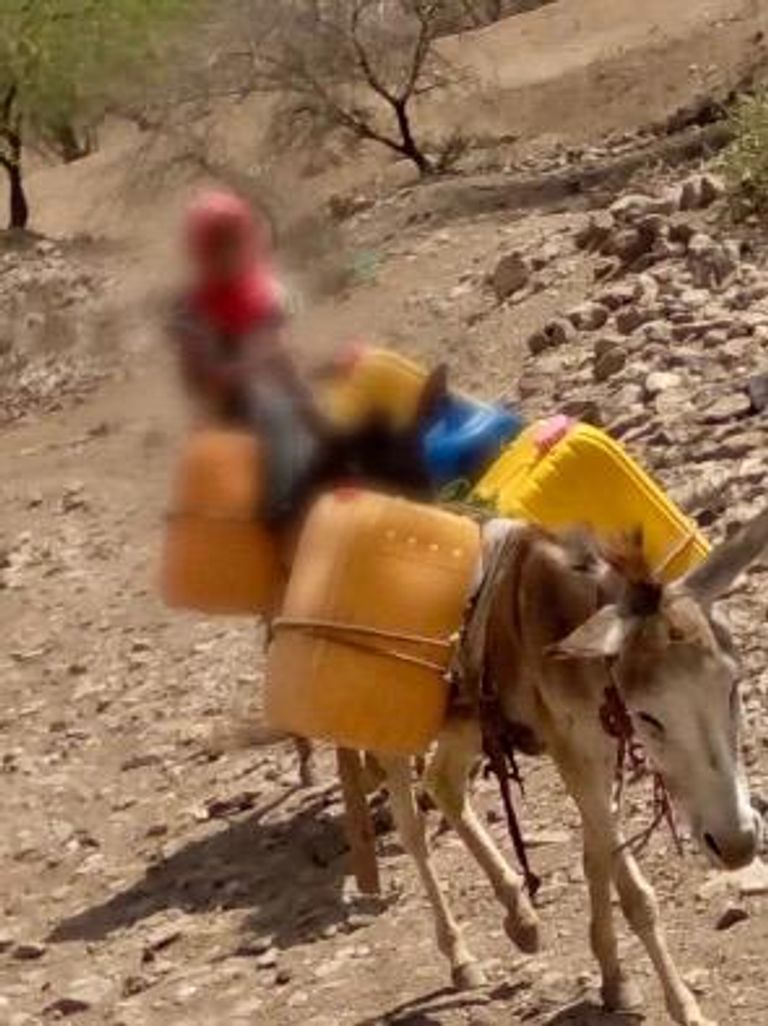 أزمة المياه في الضالع اليمنية