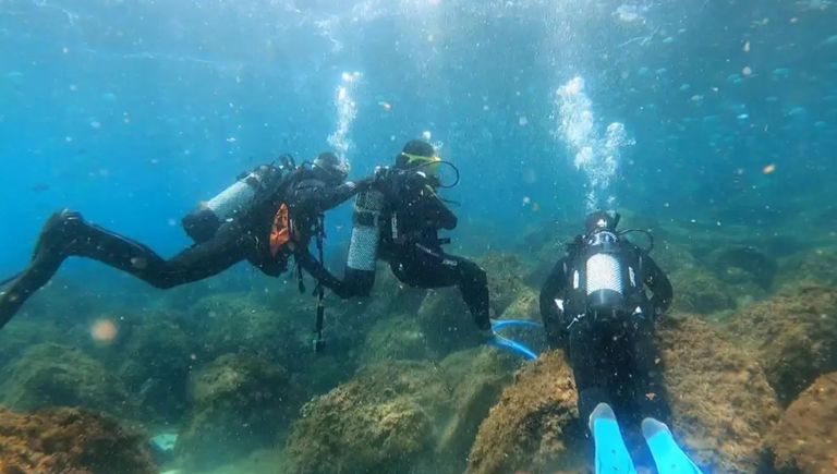 العروسان تحت الماء