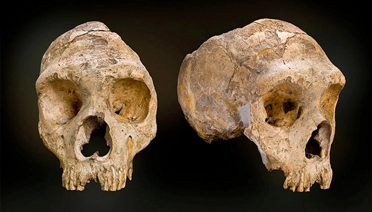 غذاء البشرية قبل الزراعة - صورة تعبيرية