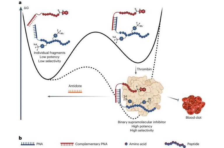 ذبابة تسي تسي 