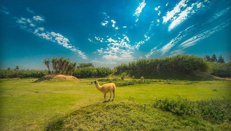 أفريكانو بارك إحدى خروجات شم النسيم في مصر 2024