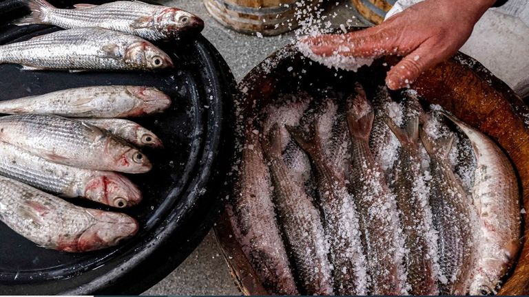 طبق يحوي الفسيخ والليمون والطماطم