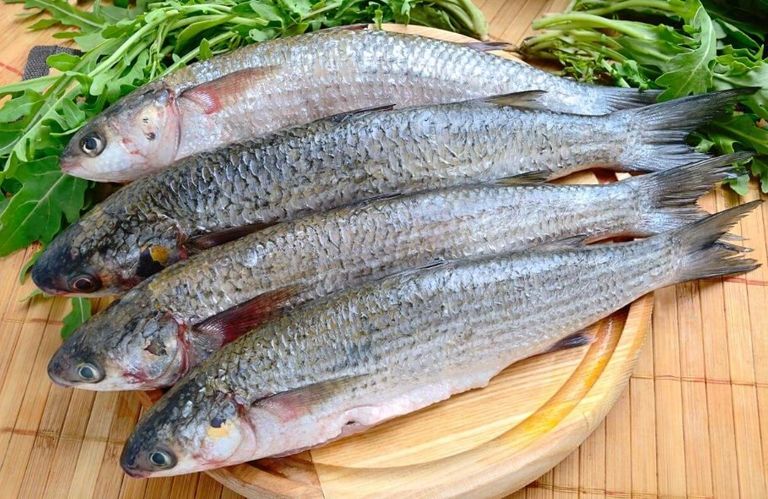 طبق يحوي الفسيخ والليمون والطماطم