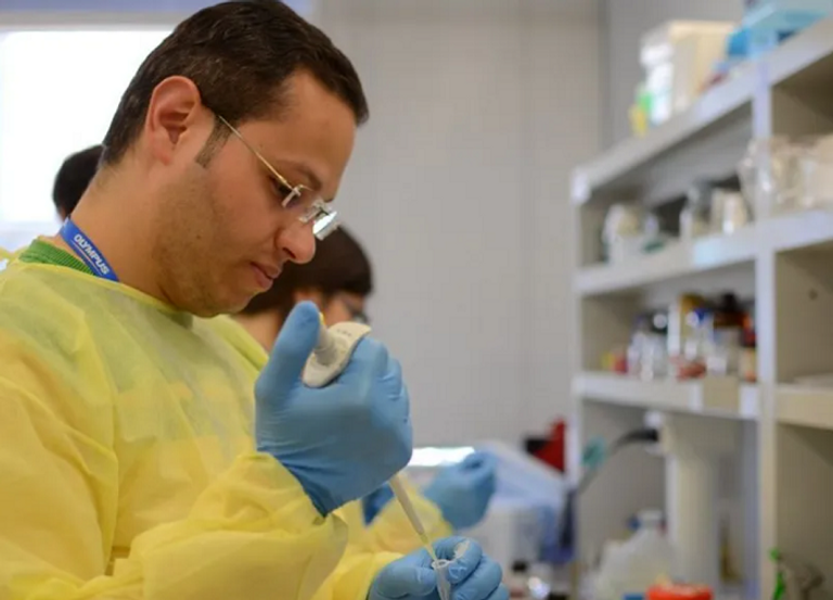 أحمد سالمان 