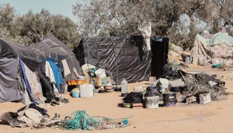 خيام لمهاجرين غير نظاميين بمزارع زيتون في تونس