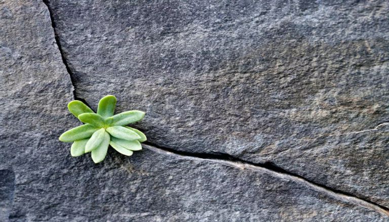 أعراض نمو ما بعد الصدمة