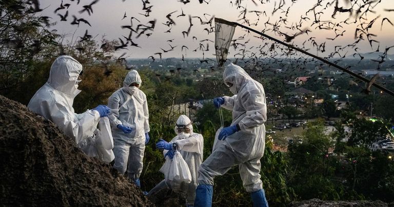 الاحترار المناخي يؤدي إلى تفشي المزيد من الأمراض المعدية