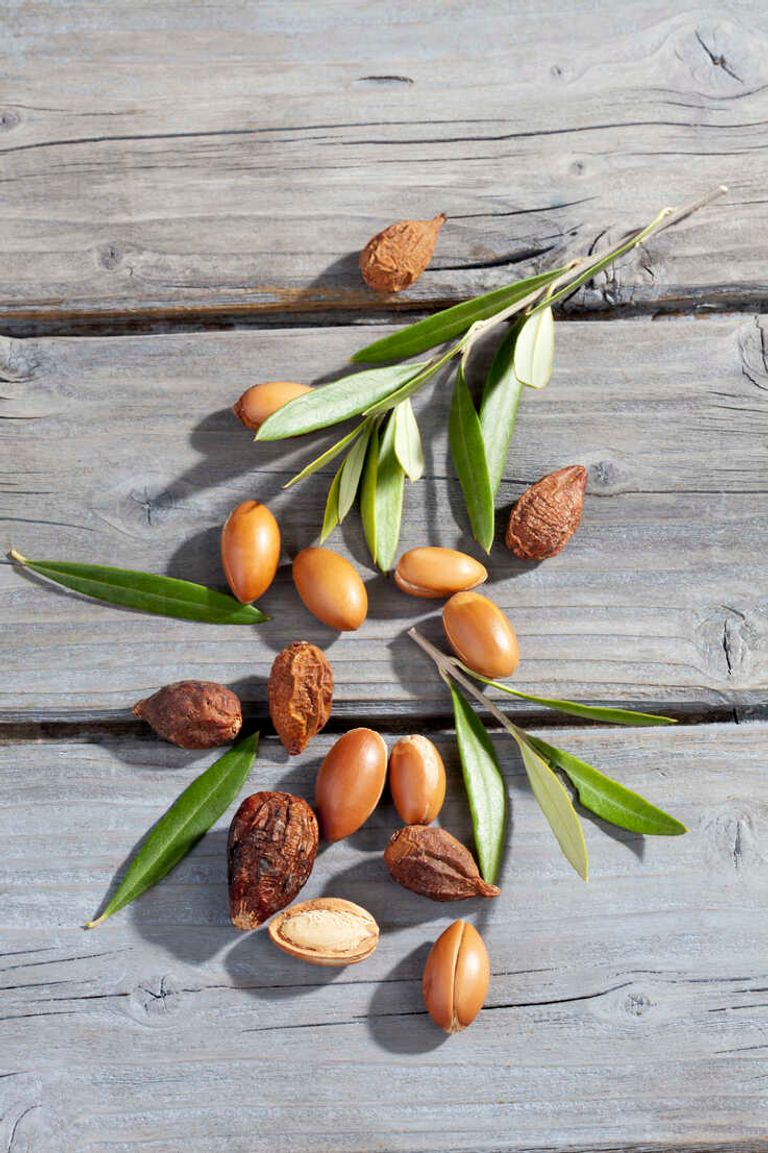 اليوم الدولي لشجرة الأرغان 2024