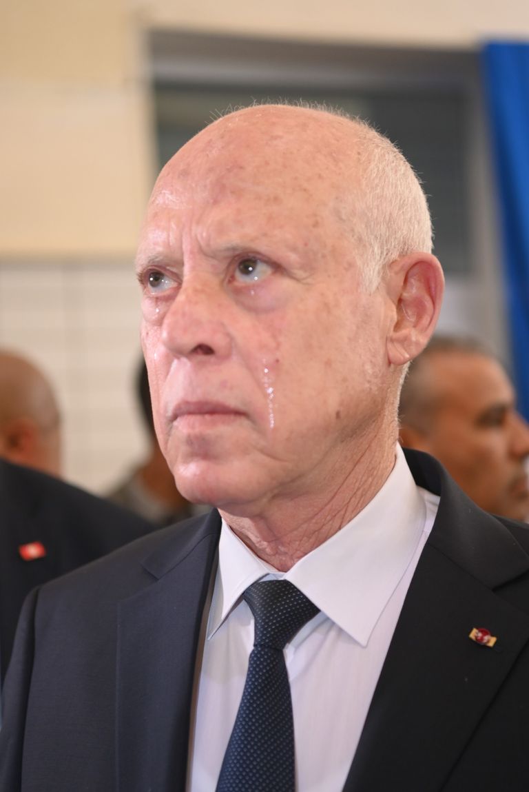 قيس سعيد يرفع العلم التونسي