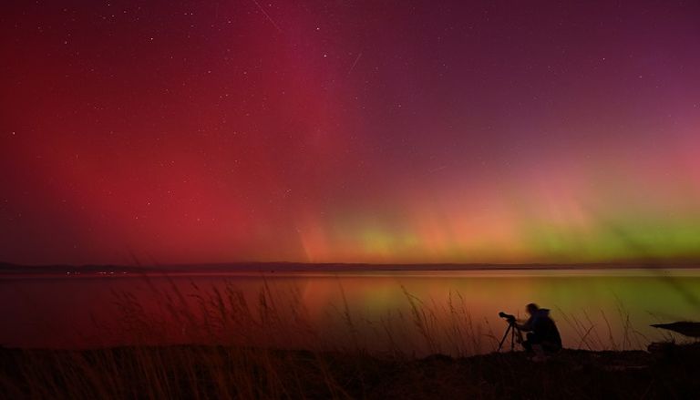 شركة ستارلينك