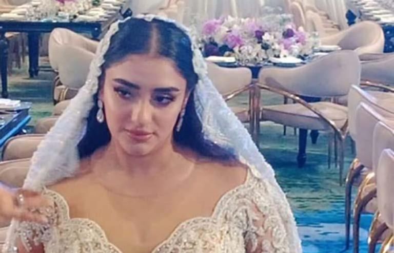 مصطفى كامل في حفل زفاف ابنته "فرح"