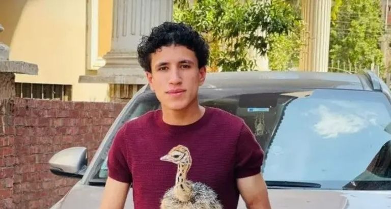 يوسف "أصغر مربي للنعام بمصر"