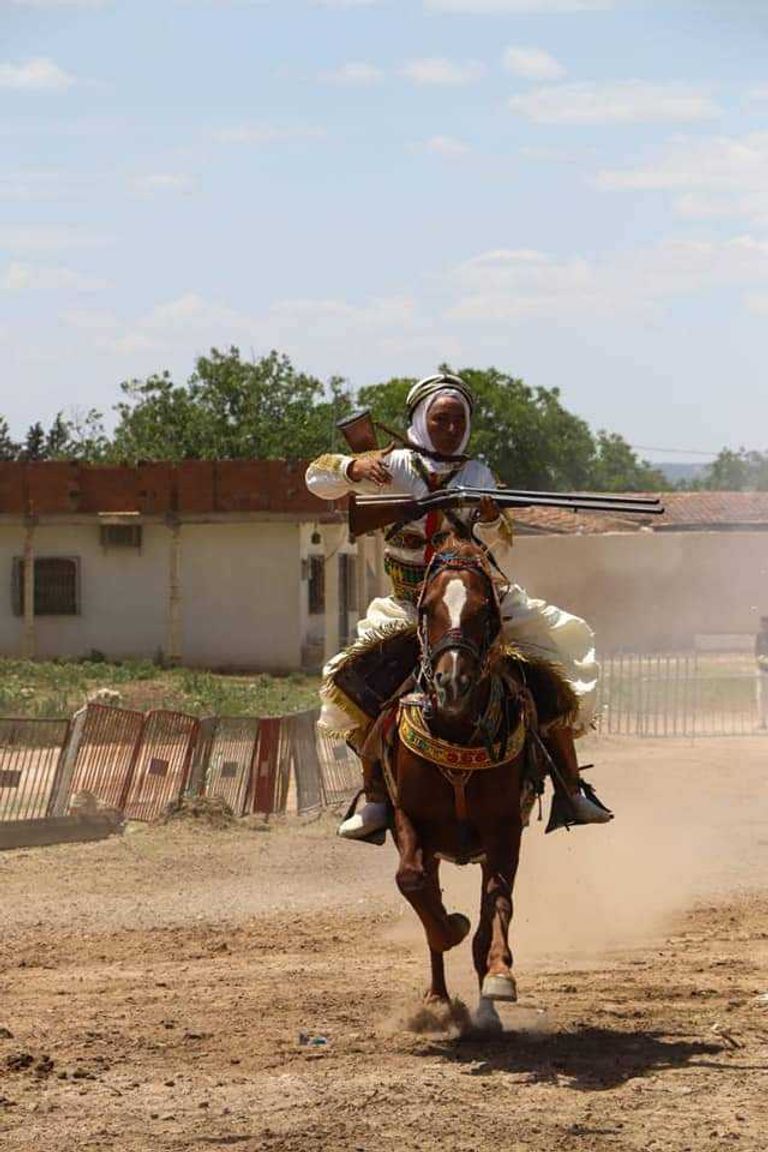 مهرجان "الحصان البربري"