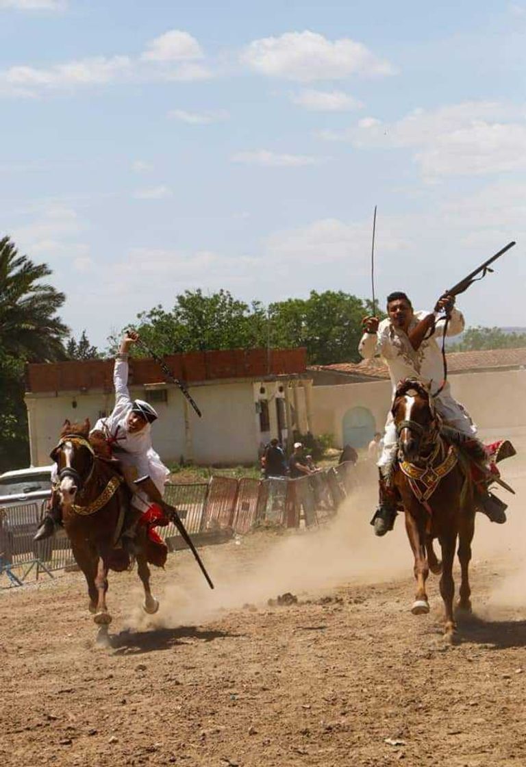 مهرجان "الحصان البربري"