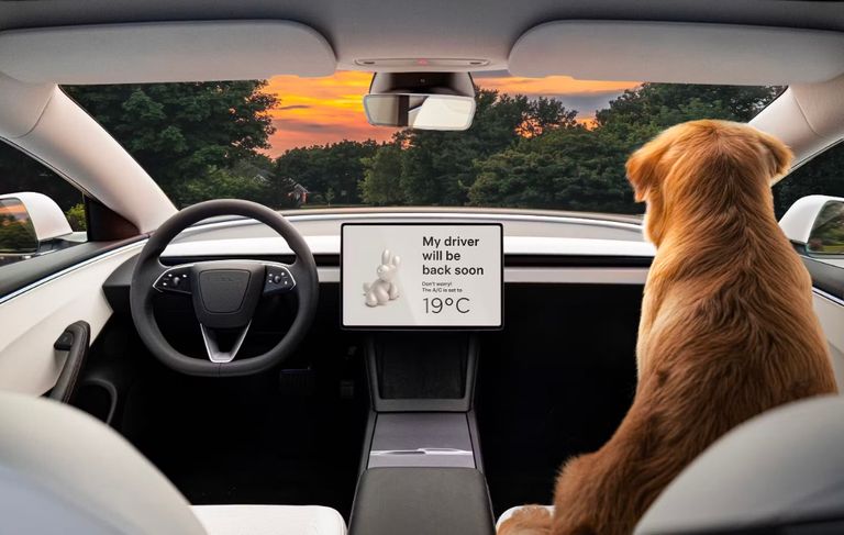 وضع Dog Mode نظام تيسلا Dog Mode