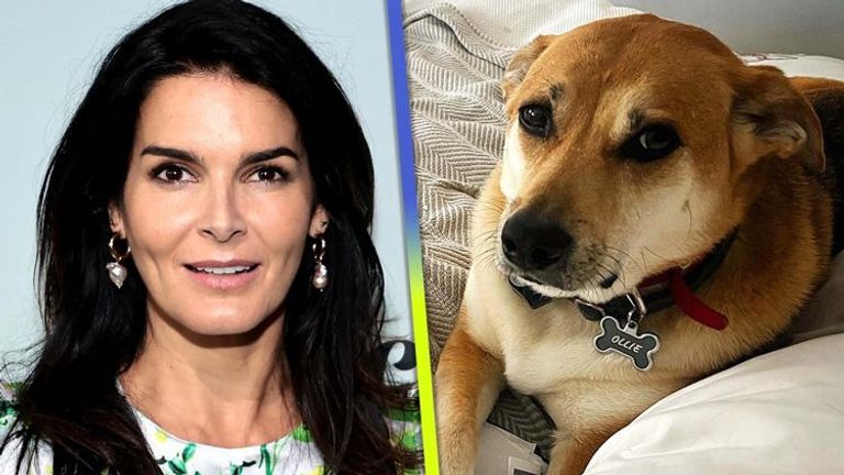 الممثلة أنجي هارمون مع كلبها - موقع whas11 موظف في