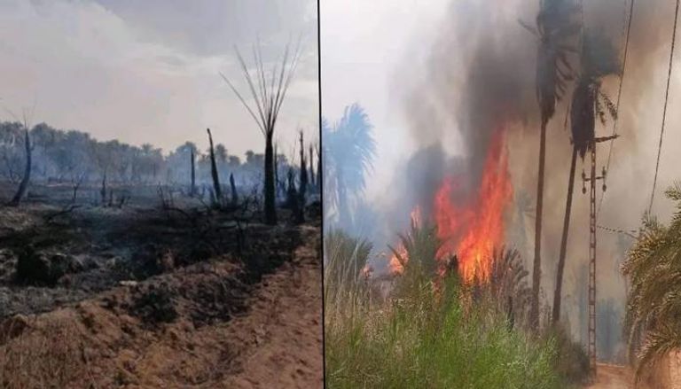 حرائق في الجزائر