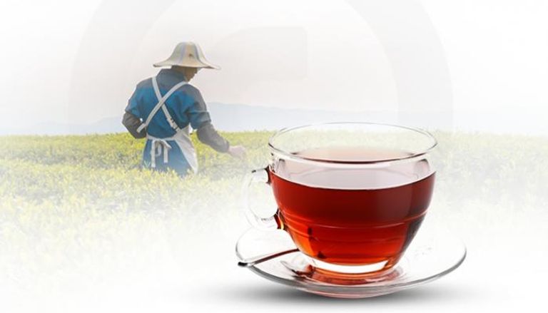أكبر 10 دول منتجة للشاي