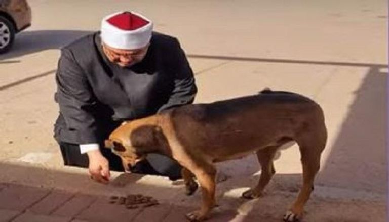 إمام مسجد يطعم الكلاب الضالة في مصر