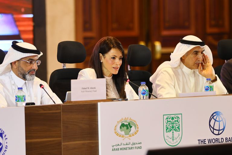 اجتماعات المؤسسات المالية العربية في مصر