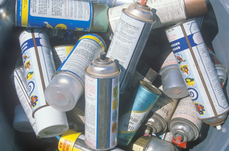 توماس ميدغلي