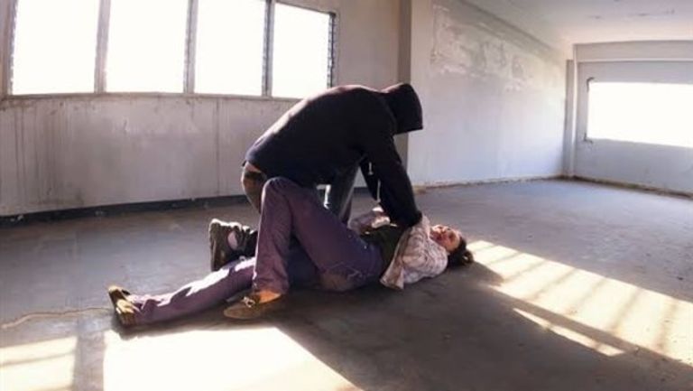 الشرطة المصرية