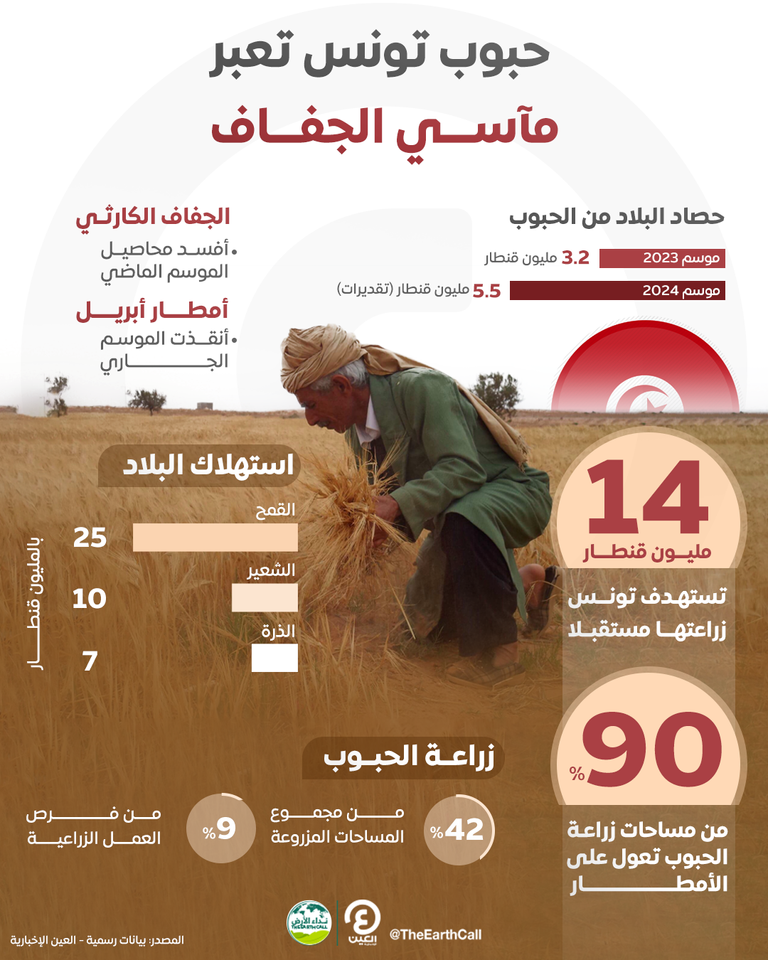 القمح - تعبيرية