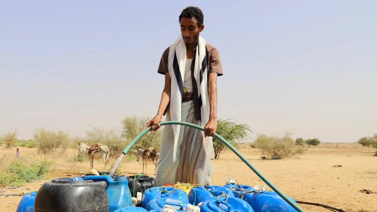 حرب الحوثي تطال التنوع البيولوجي في اليمن 